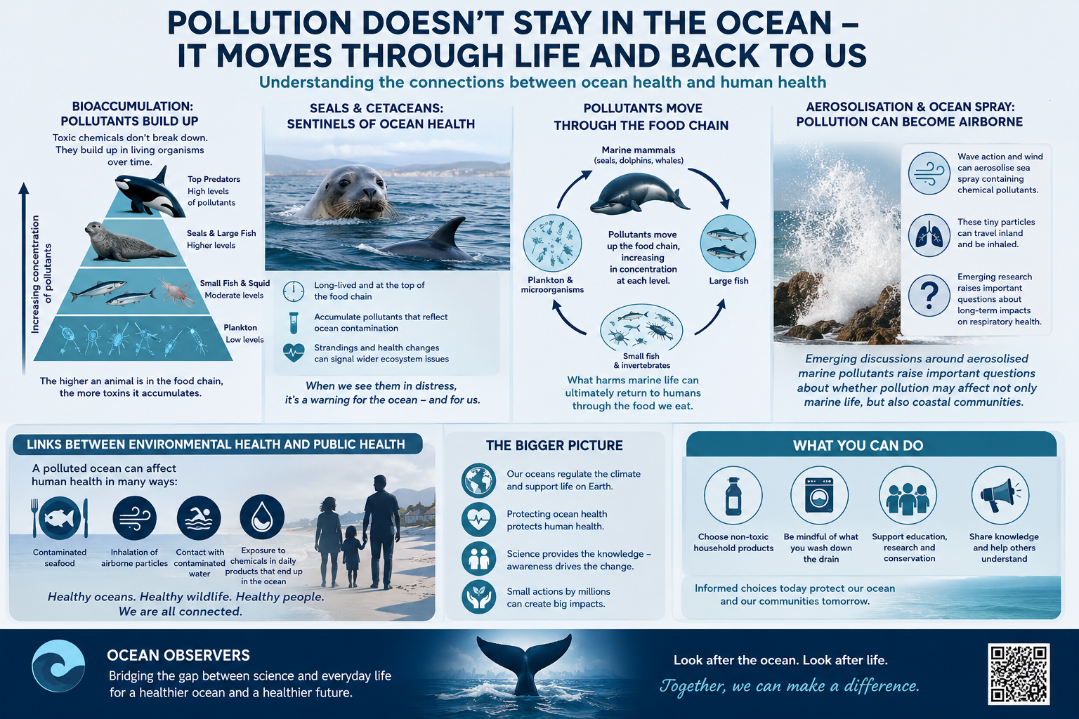 Pollution moves through life and back to us